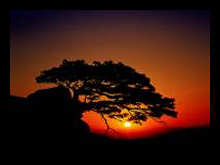 festival3.jpg festival3.jpg