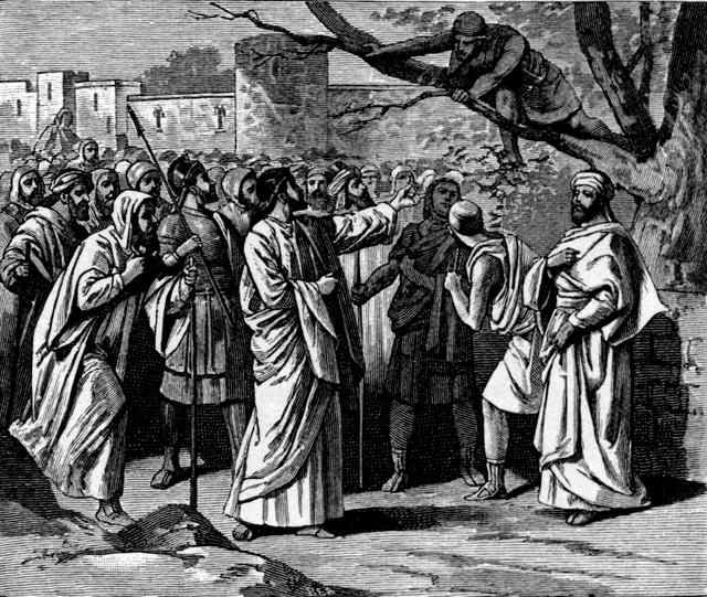 114_Luk1905-Zacchaeus in the tree.jpg