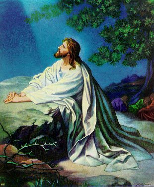 134_Mat2636_Gethsemane.jpg