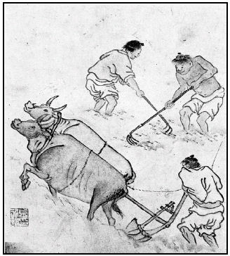 hm2008010.jpg hm2008010.jpg