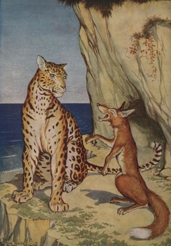 zok_The Fox and the Leopard.jpg