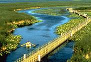 un_Everglades.jpg