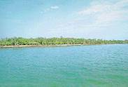 un_Sundarbans.jpg