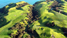 oc004Cape_Kidnappers.jpg