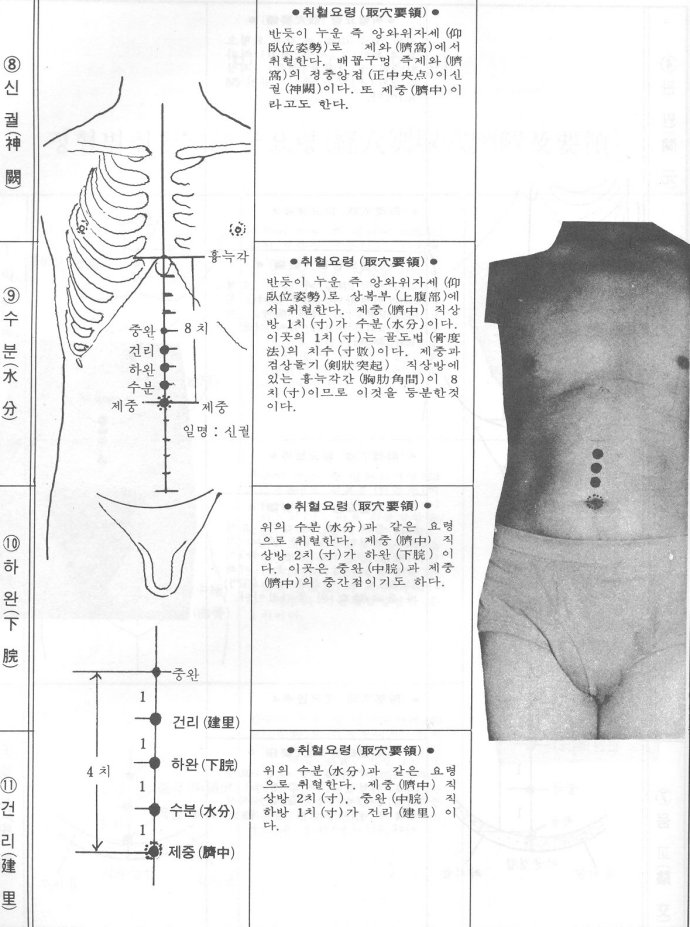 acv08_11.jpg